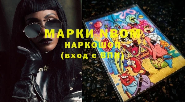 прущие грибы Магас