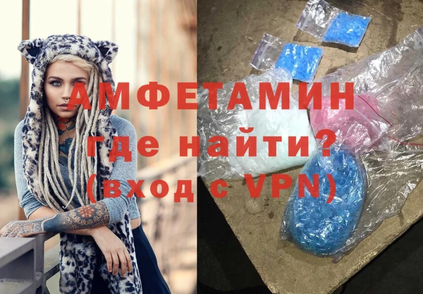 прущие грибы Магас