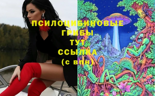 бошки Бердск