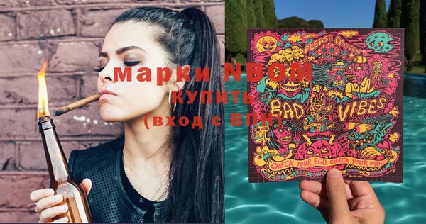 прущие грибы Магас