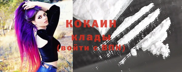 прущие грибы Магас