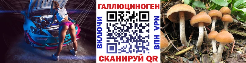 МЕГА ссылки  Добрянка  Псилоцибиновые грибы Psilocybine cubensis  купить закладку 