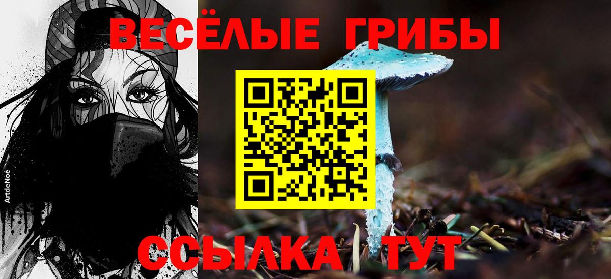 Псилоцибиновые грибы Psilocybine cubensis  дарнет шоп  Добрянка 